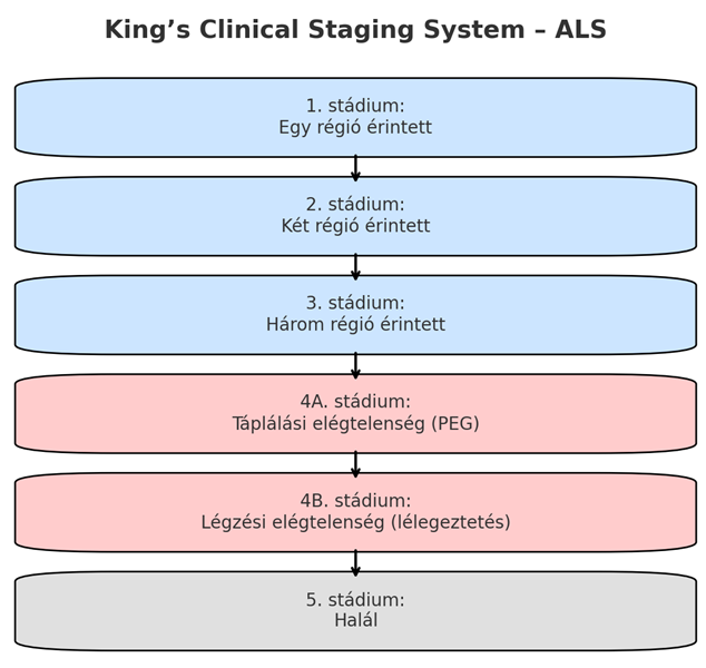 Amiotrófiás Laterálszklerózis (ALS) 2 image 4